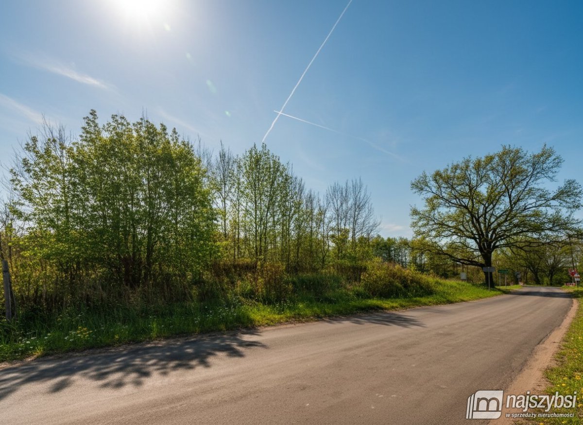 Goleniów- Działka inwestycyjna 1,6 ha z WZ (8)