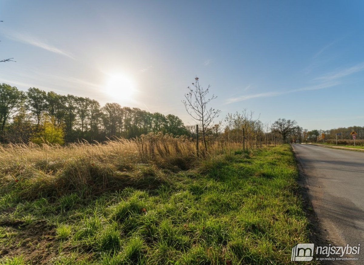 Goleniów- Działka inwestycyjna 1,6 ha z WZ (9)