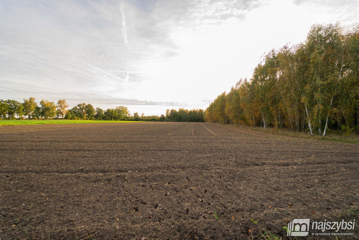 Maszewo- Działka 1,5 ha jezioro Budzieszowce z WZ (10)