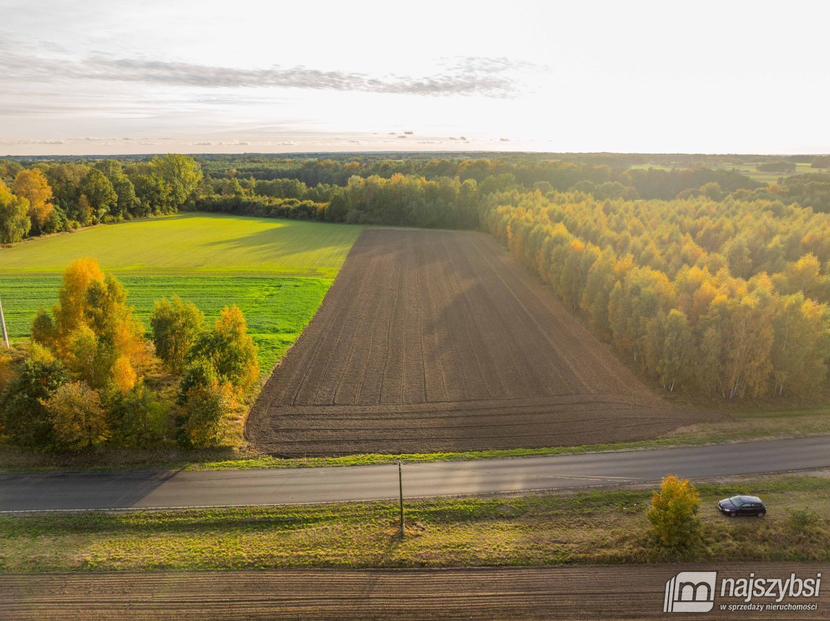Maszewo- Działka 1,5 ha jezioro Budzieszowce z WZ (12)
