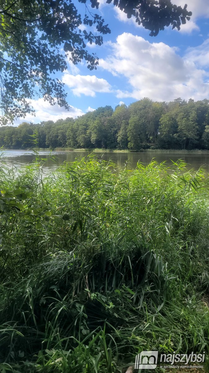 Maszewo- Działka 1,5 ha jezioro Budzieszowce z WZ (15)