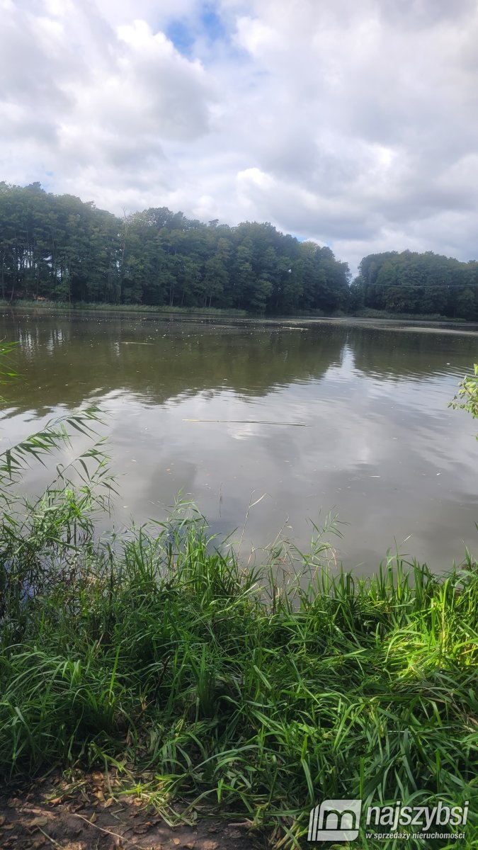 Maszewo- Działka 1,5 ha jezioro Budzieszowce z WZ (22)