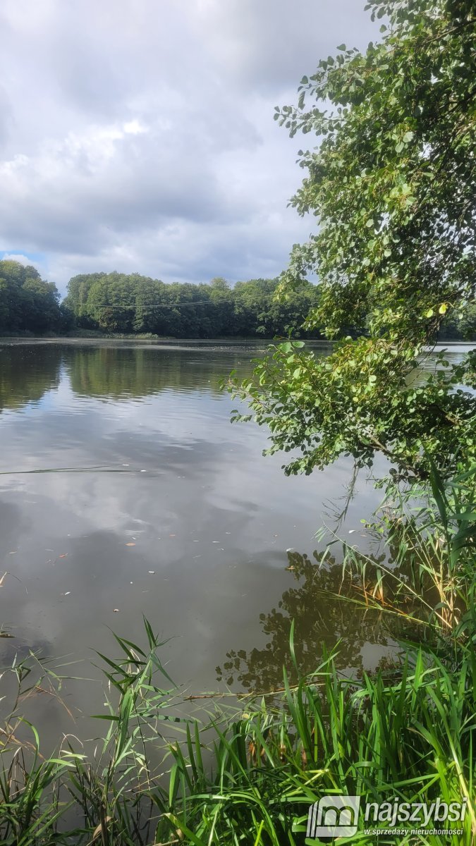 Maszewo- Działka 1,5 ha jezioro Budzieszowce z WZ (23)