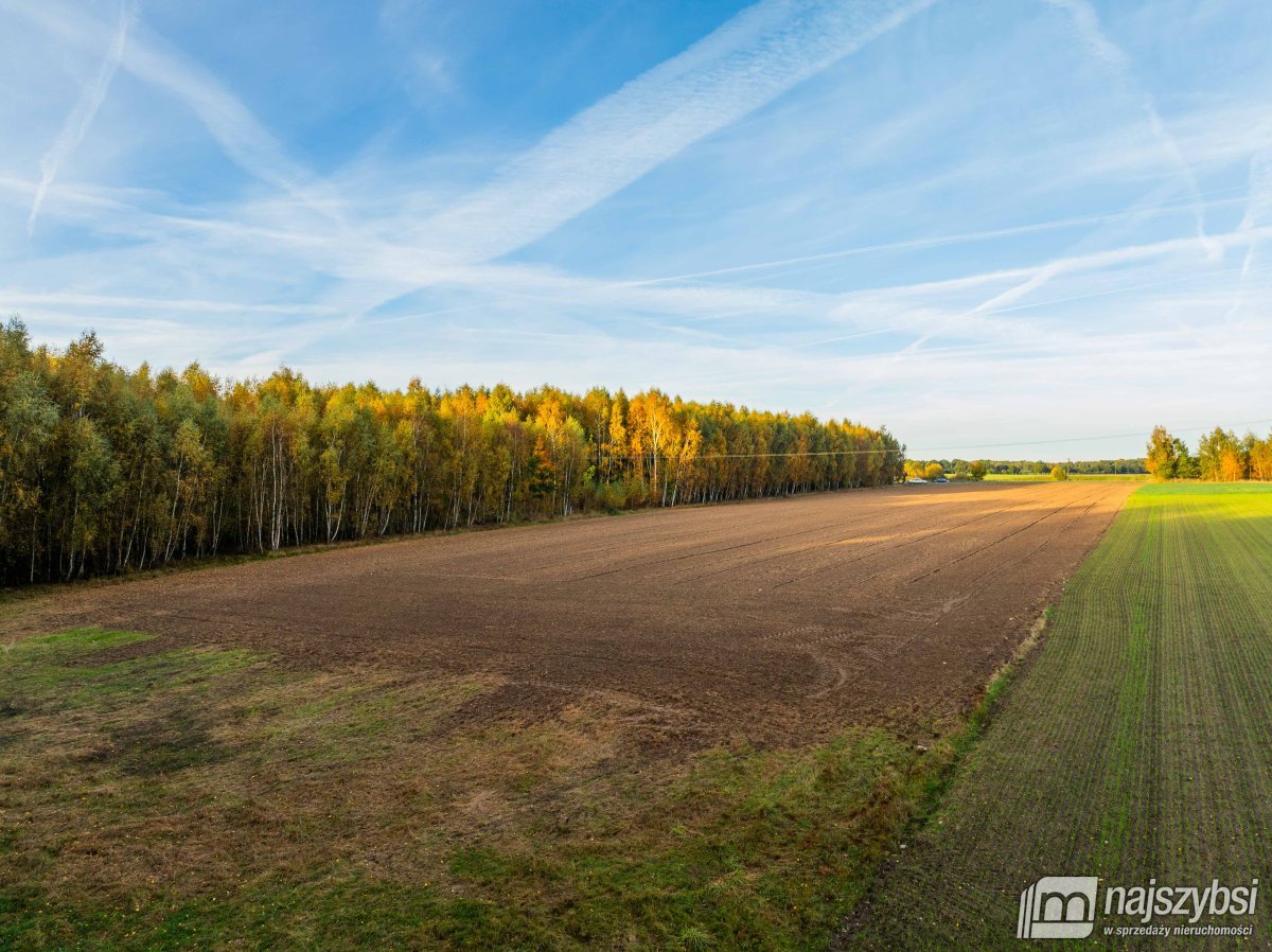 Maszewo- Działka 1,5 ha jezioro Budzieszowce z WZ (5)