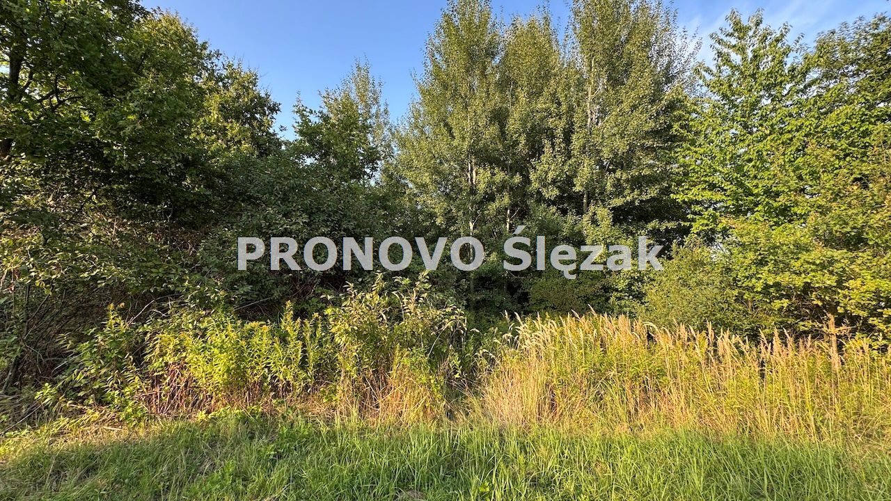 Sprzedam działkę budowlaną Morzęcin Mały (2)