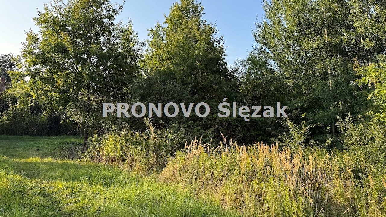 Sprzedam działkę budowlaną Morzęcin Mały (5)