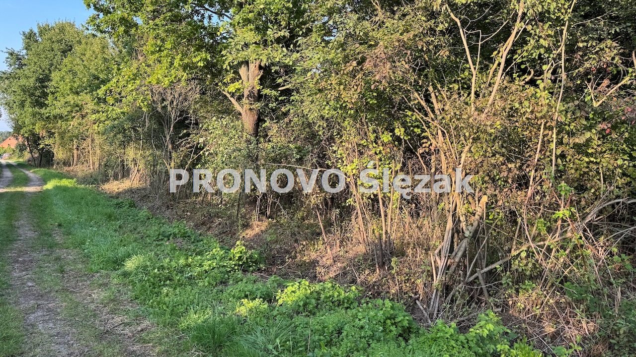 Sprzedam działkę budowlaną Morzęcin Mały (6)