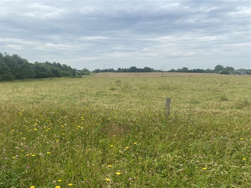 Działka rekreacyjna - Śmiechów  (10)