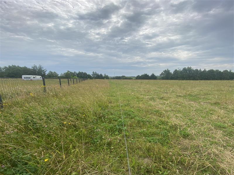 Działka rekreacyjna - Śmiechów  (11)