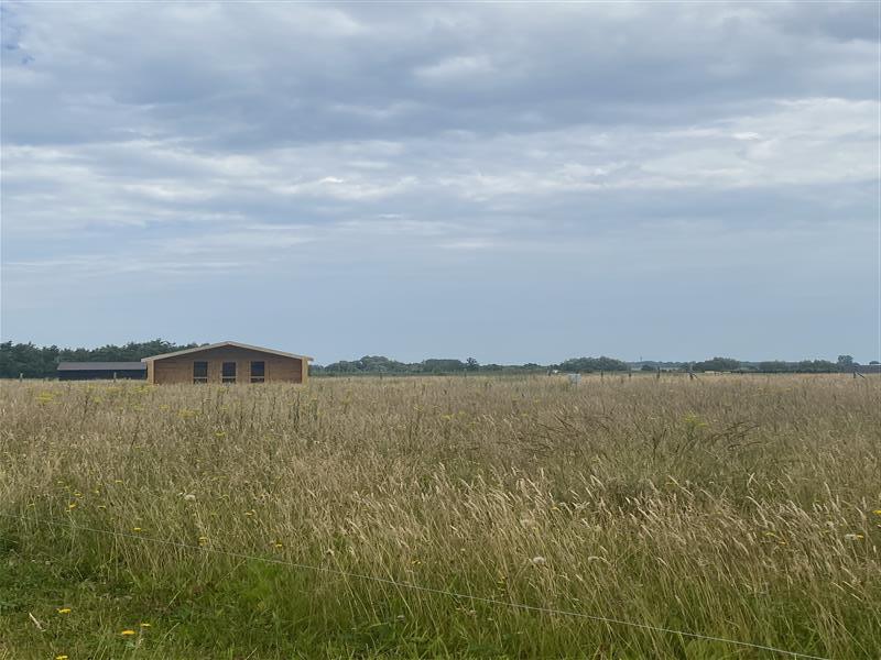 Działka rekreacyjna - Śmiechów  (12)