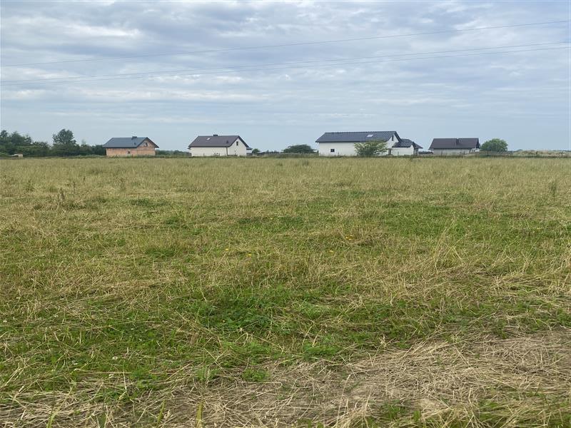 Działka rekreacyjna - Śmiechów  (4)