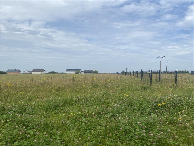 Działka rekreacyjna - Śmiechów  (9)