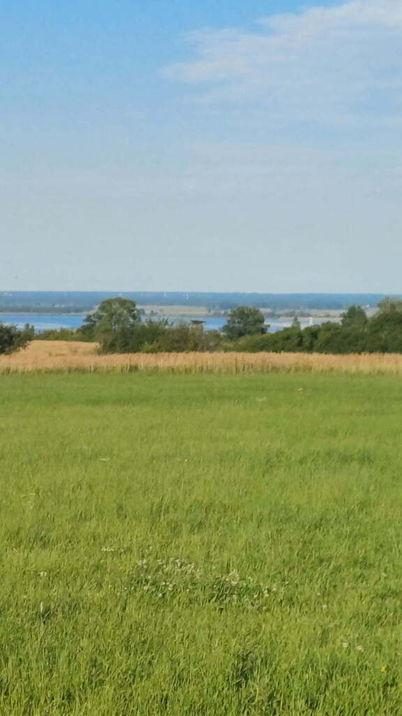 Inwestuj w naturę – działka z potencjałem ! (7)