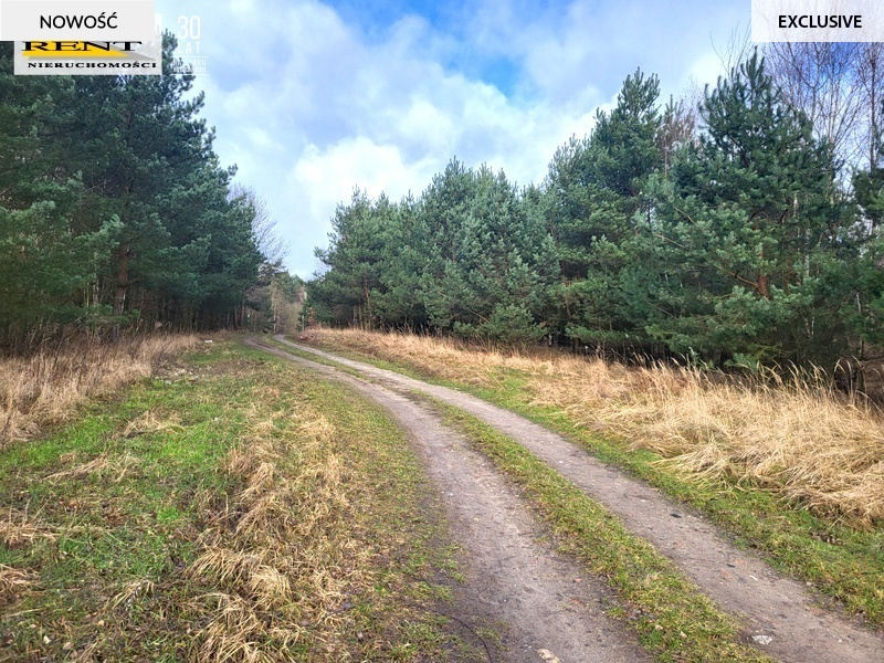 Działki blisko jezior, war. zabudowy, Choszczno (4)