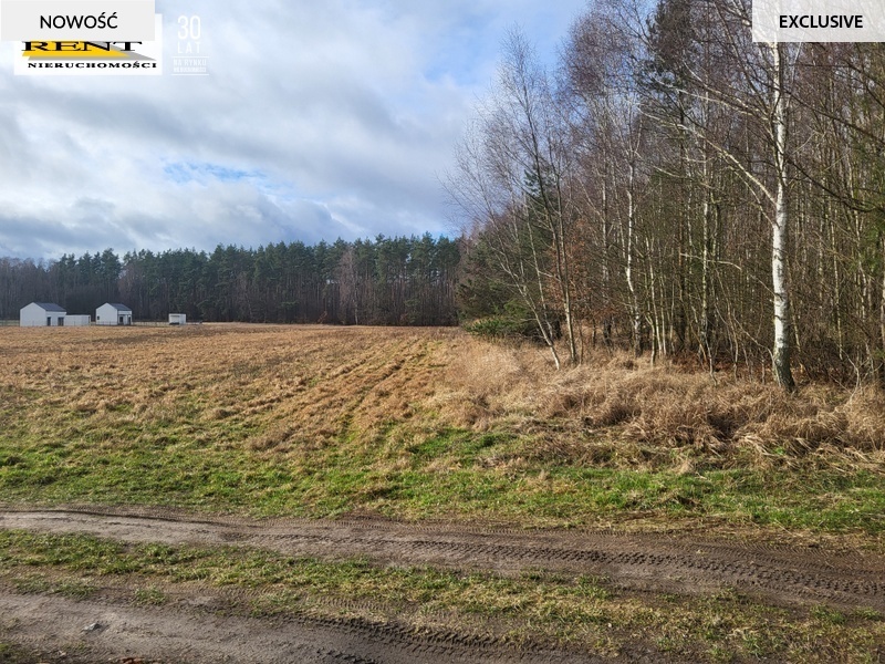 Działki blisko jezior, war. zabudowy, Choszczno (3)