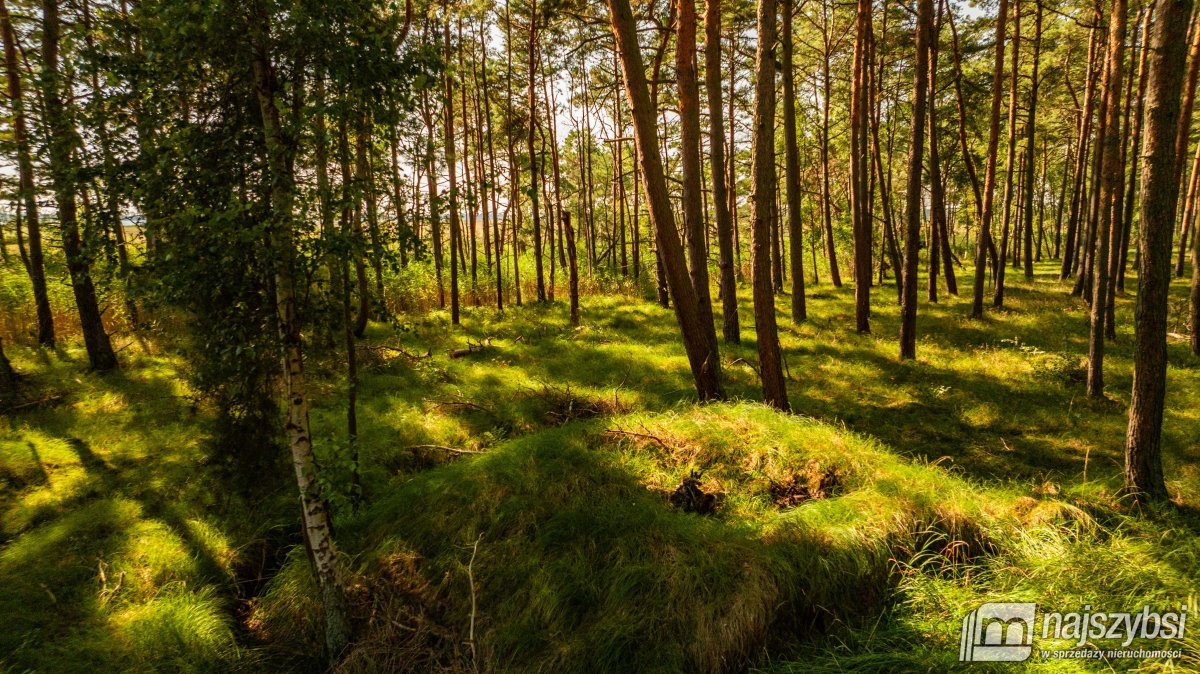 Dziwnów - wyjątkowa działka 1262m2  (6)