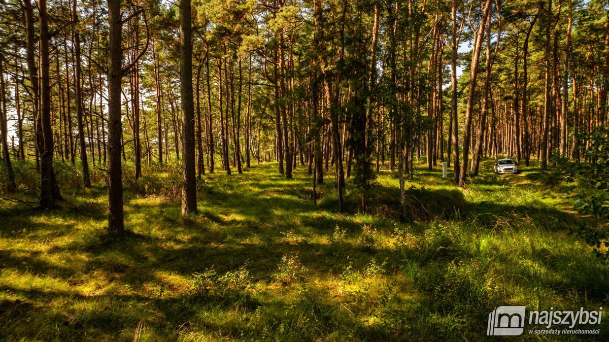 Dziwnów - wyjątkowa działka 1262m2  (7)