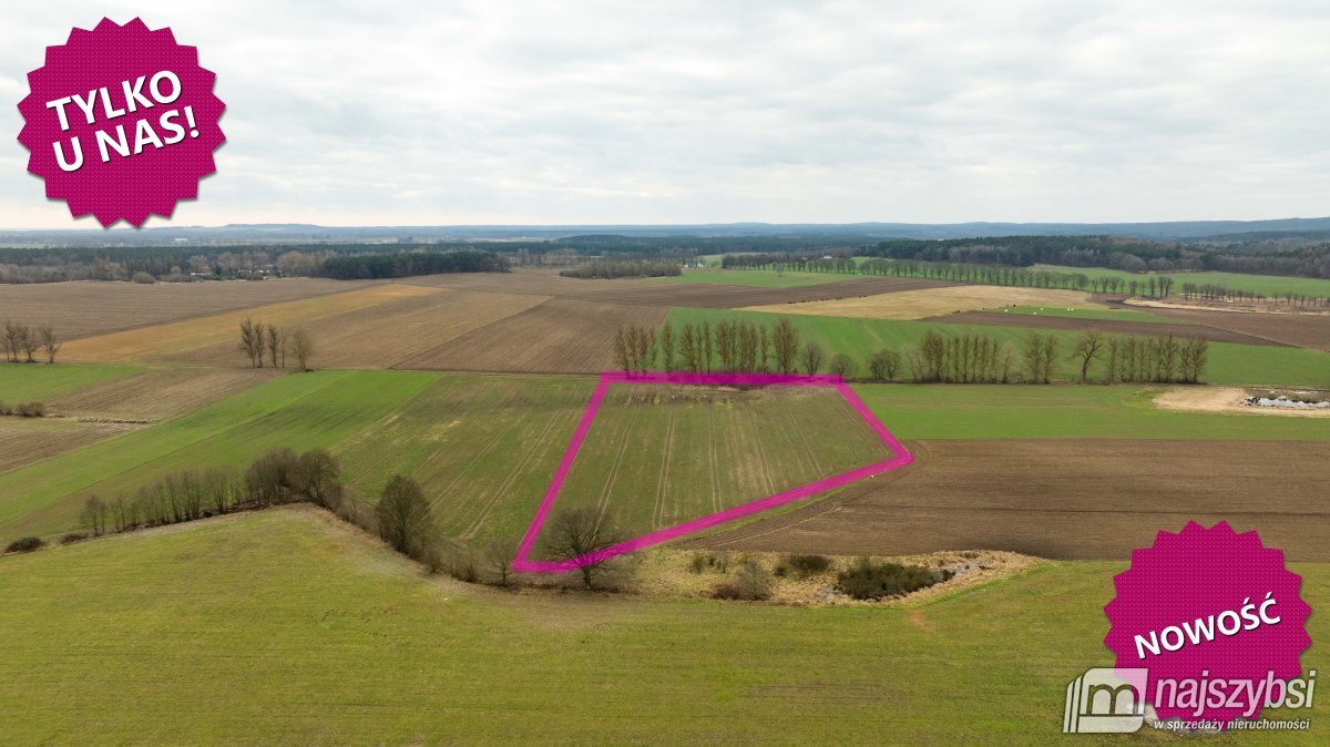 Kołczewo - ogromna działka rolna w dobrej cenie (1)