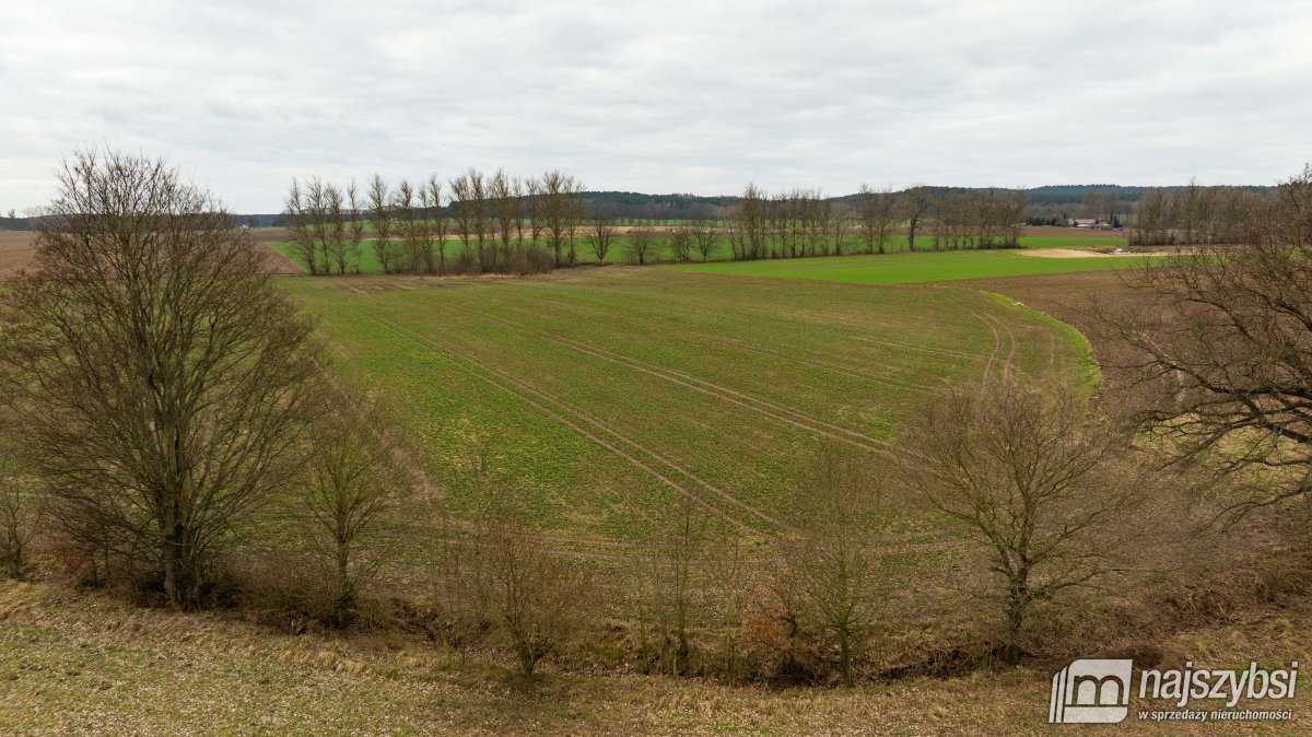 Kołczewo - ogromna działka rolna w dobrej cenie (10)
