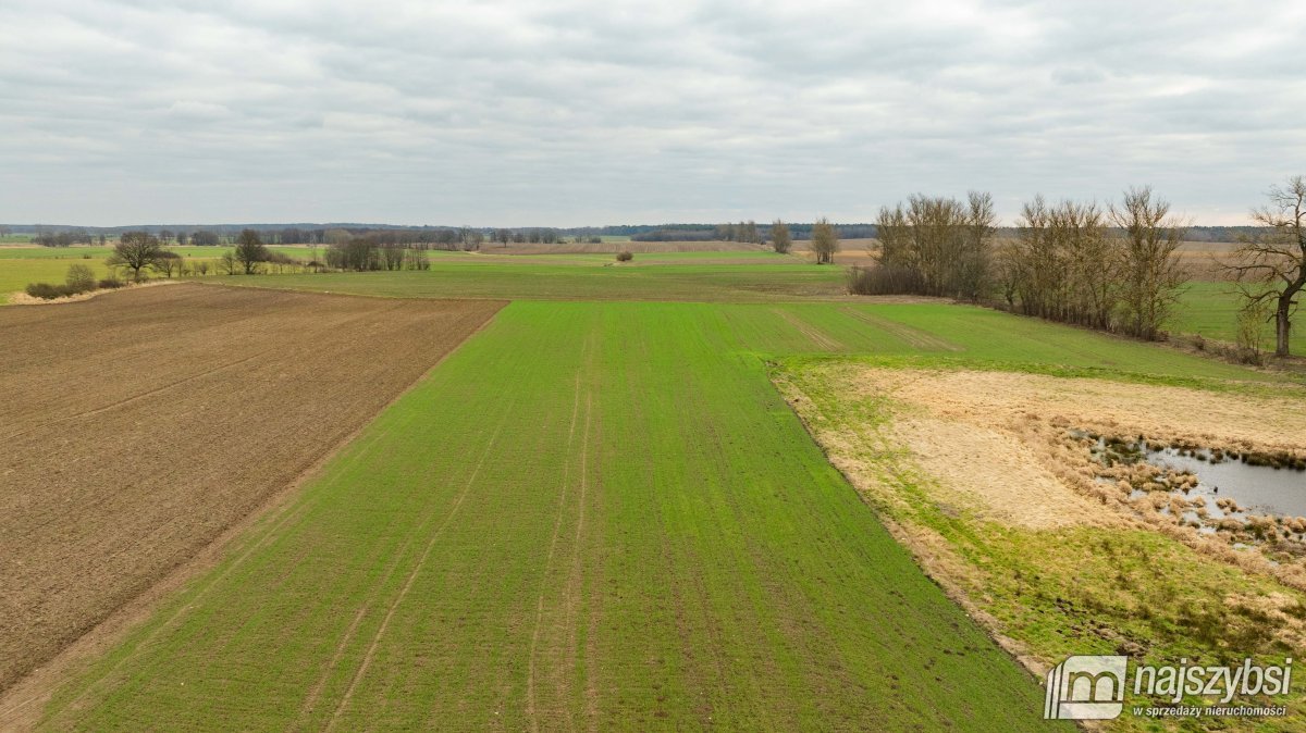 Kołczewo - ogromna działka rolna w dobrej cenie (2)