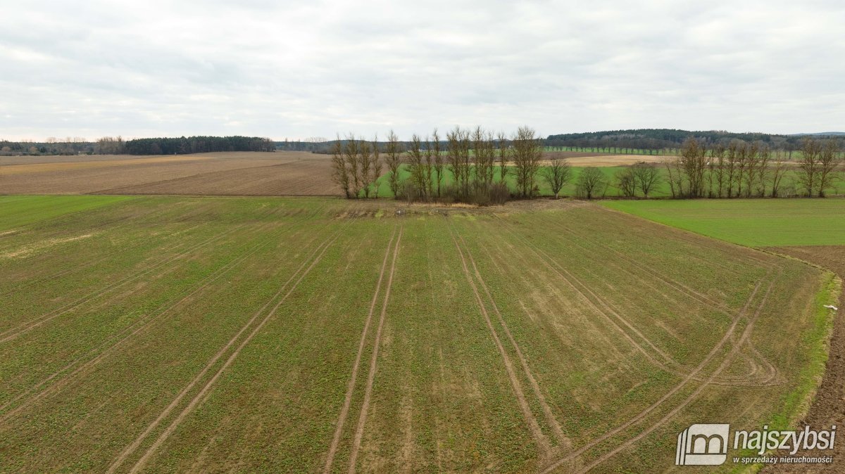 Kołczewo - ogromna działka rolna w dobrej cenie (3)