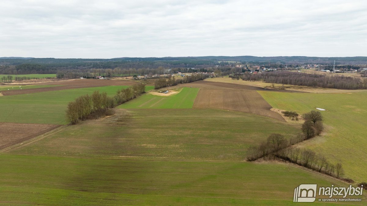 Kołczewo - ogromna działka rolna w dobrej cenie (4)
