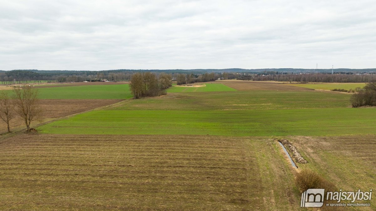 Kołczewo - ogromna działka rolna w dobrej cenie (5)