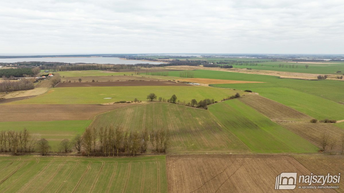 Kołczewo - ogromna działka rolna w dobrej cenie (6)