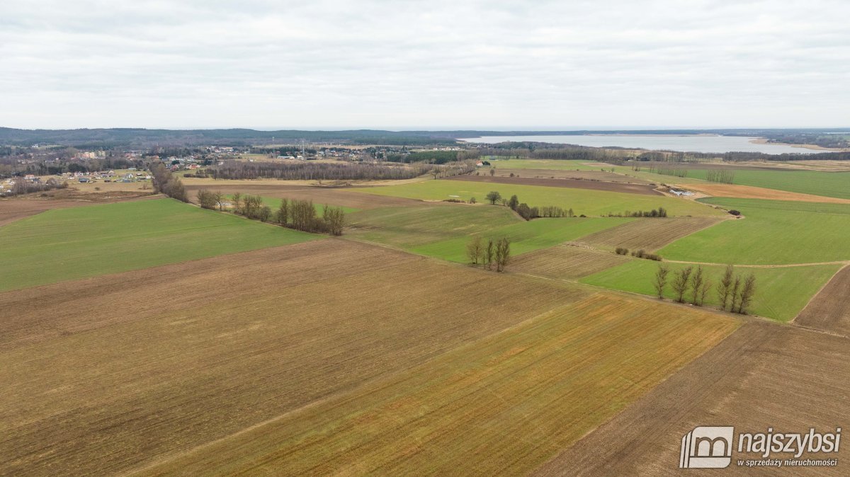 Kołczewo - ogromna działka rolna w dobrej cenie (7)