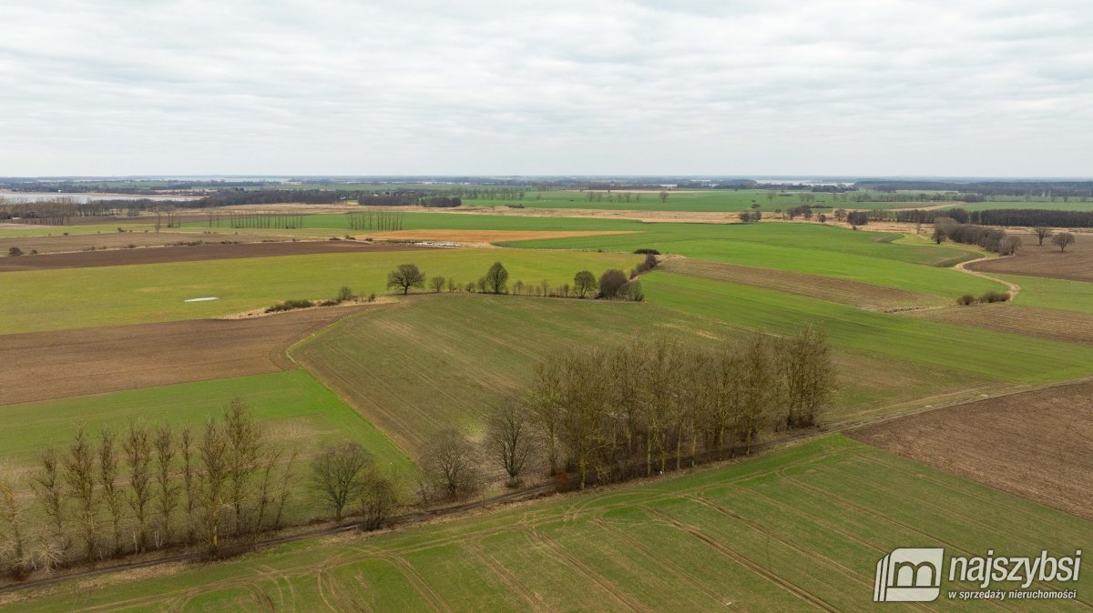 Kołczewo - ogromna działka rolna w dobrej cenie (8)