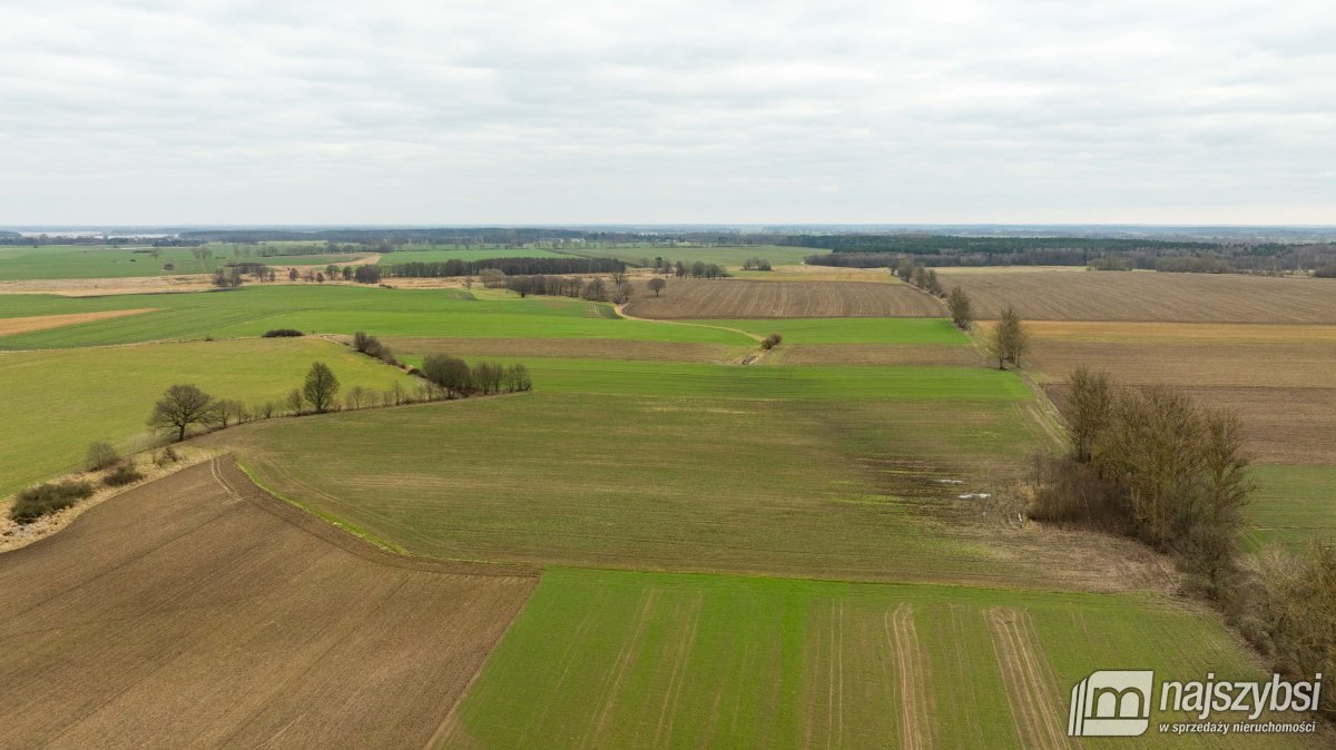 Kołczewo - ogromna działka rolna w dobrej cenie (9)