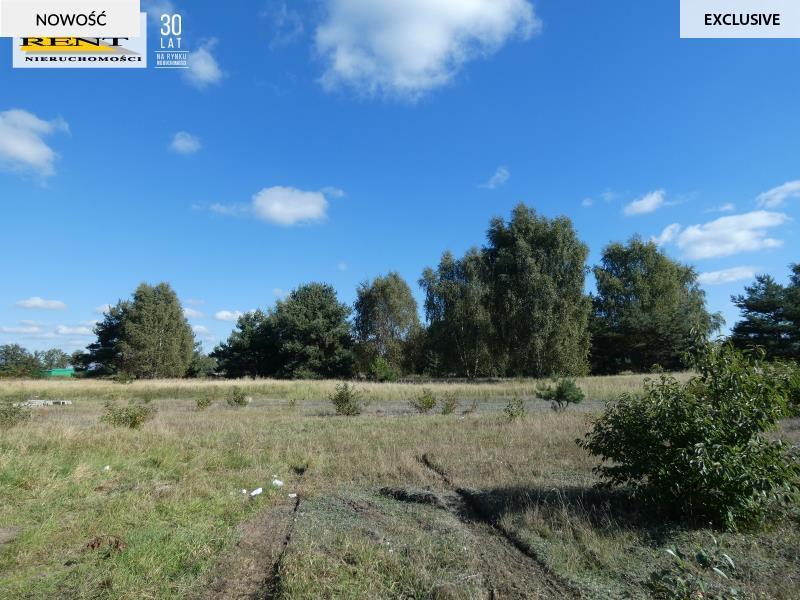 Całoroczny domek letniskowy przy jeziorze Dąbskim (13)