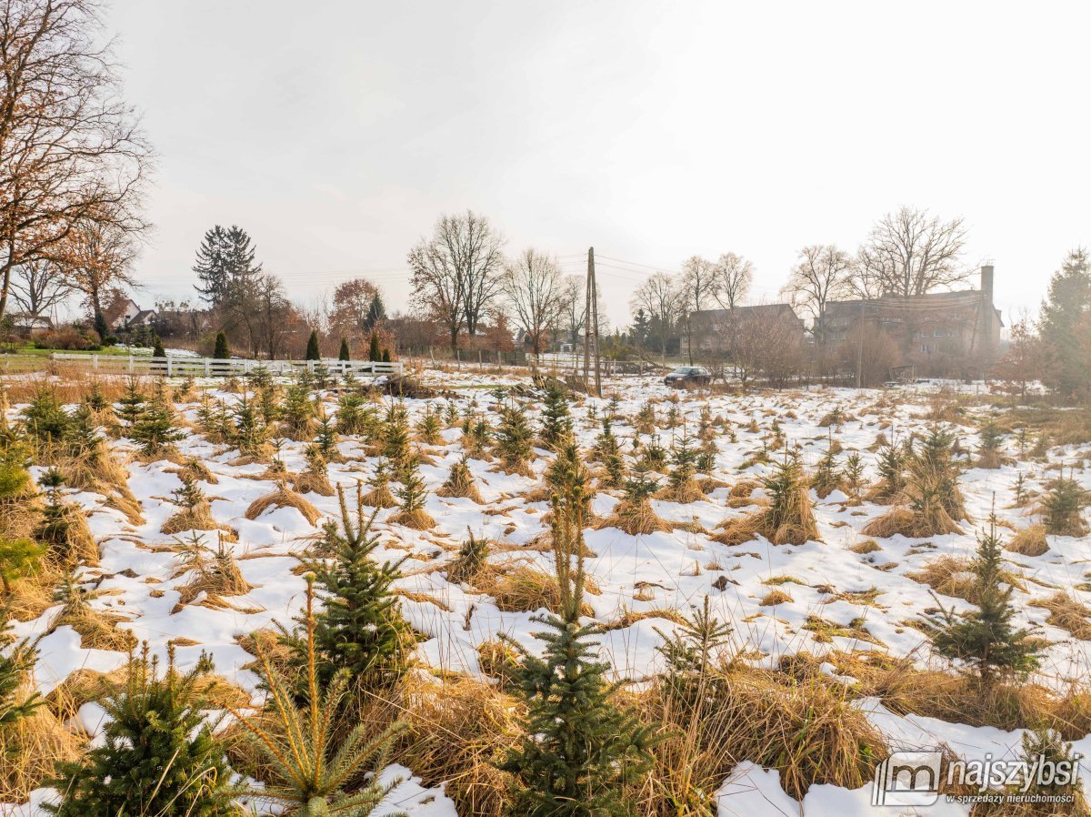 Łosośnica - działka z warunkami, kanalizacja, gaz (10)