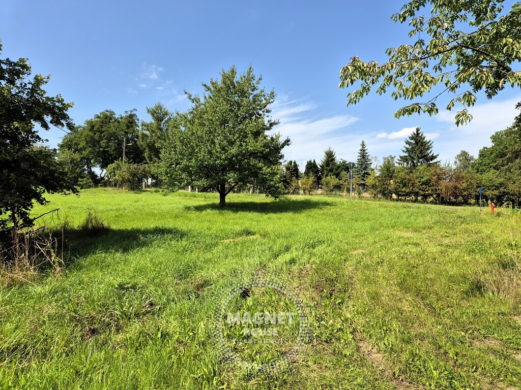 Działki w Gogolicach 1500m – media przy drodze (7)