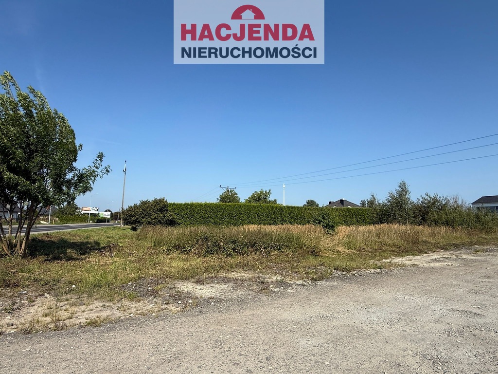 Działka, 1,268 m2, Przęsocin  (5)