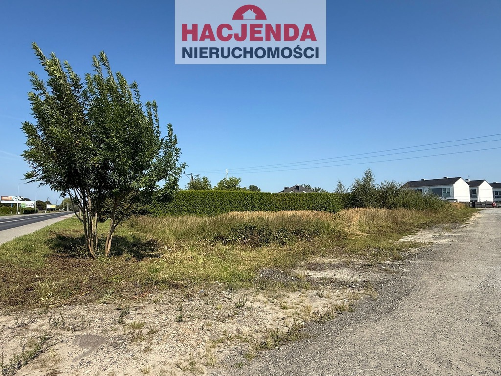 Działka, 1,268 m2, Przęsocin  (3)