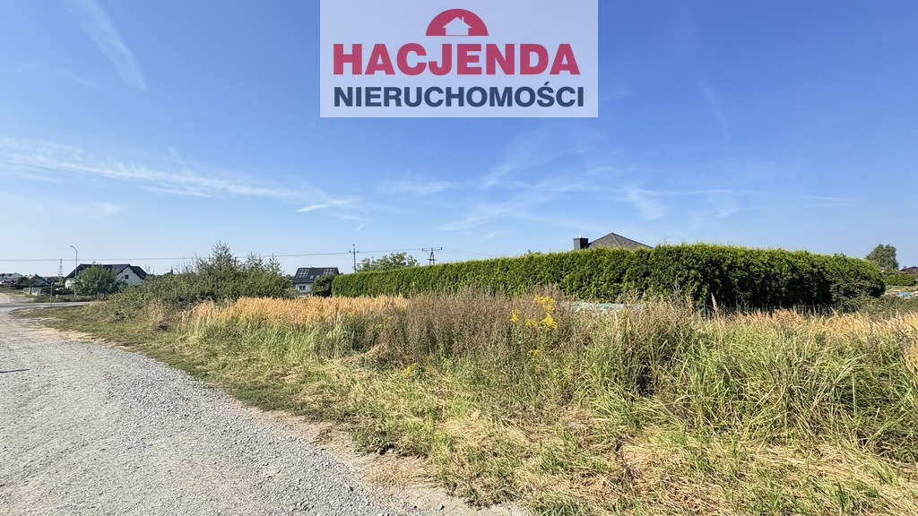 Działka, 1,268 m2, Przęsocin  (6)