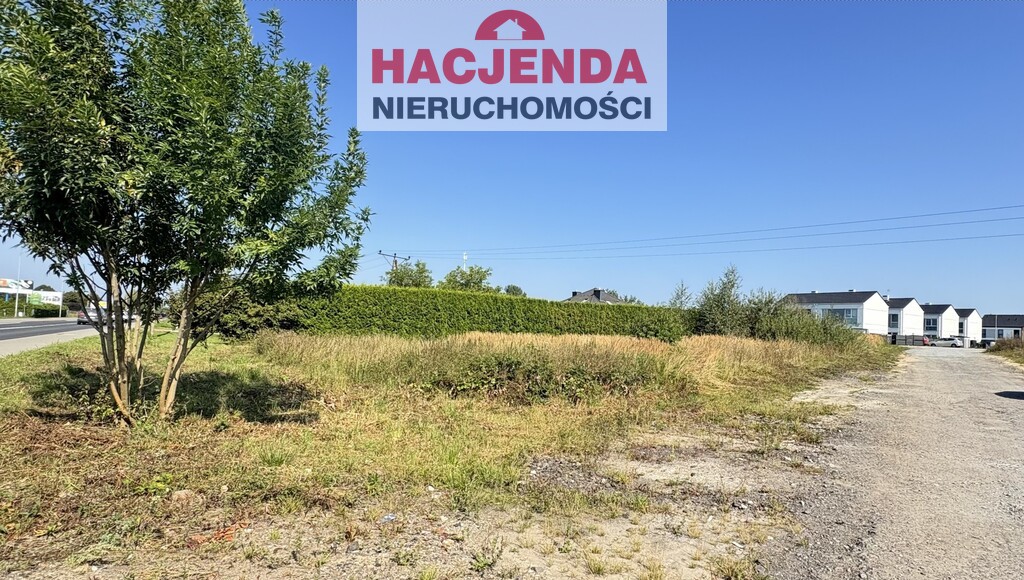 Działka, 1,268 m2, Przęsocin  (4)