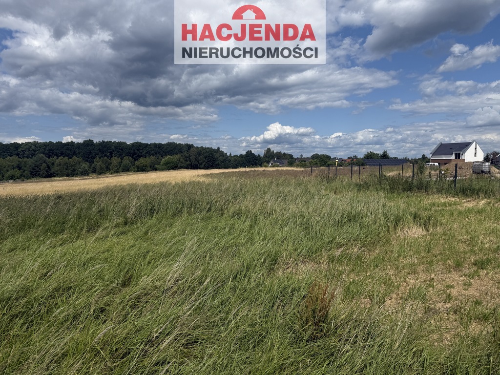 Rolna, 1,700 m2, Przęsocin  (2)