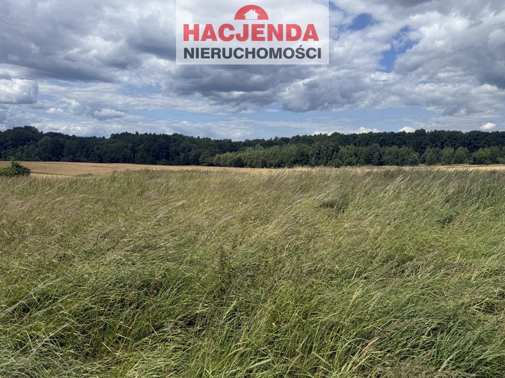 Rolna, 1,700 m2, Przęsocin  (3)