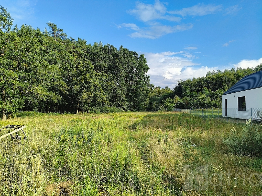 Tanowo – 2440 m2 działka uzbrojona przy lesie (1)