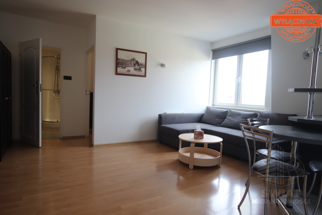 Na wynajem 2 pok. w centrum (19)