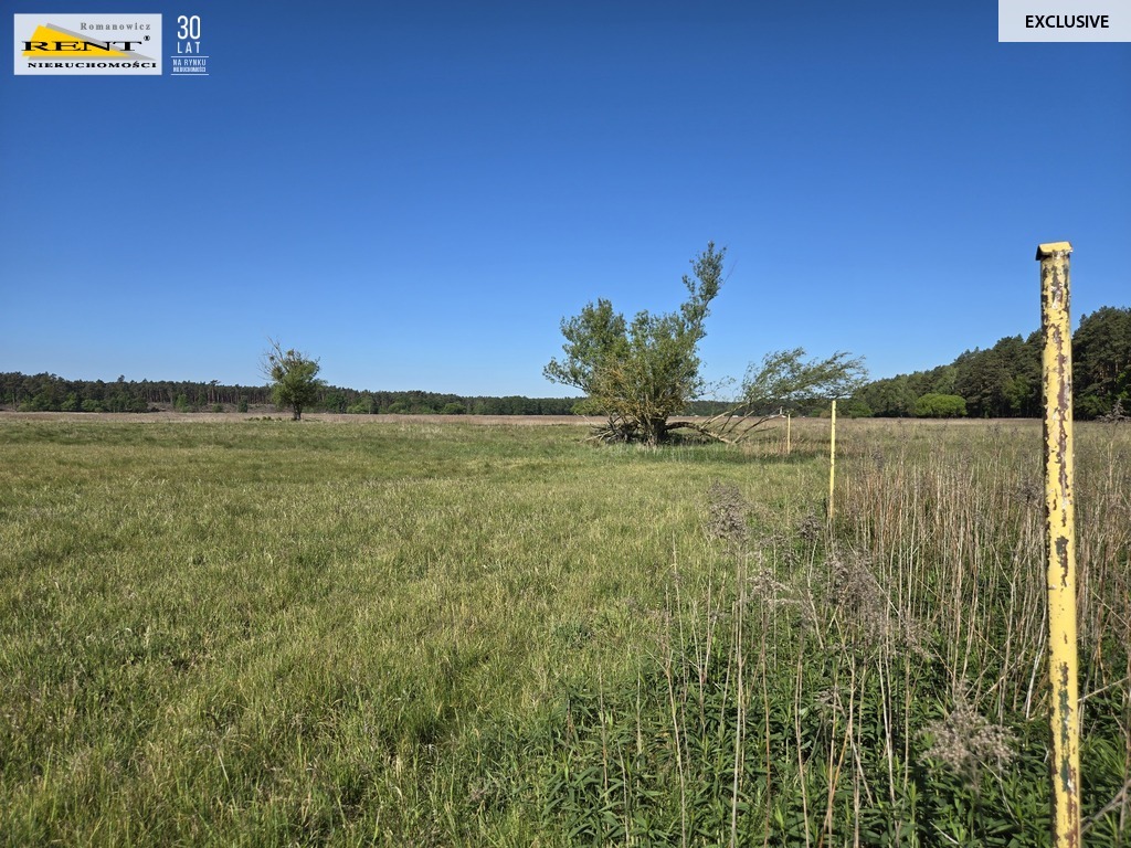 Dziełka inwestycyjna Wielgowo (2)