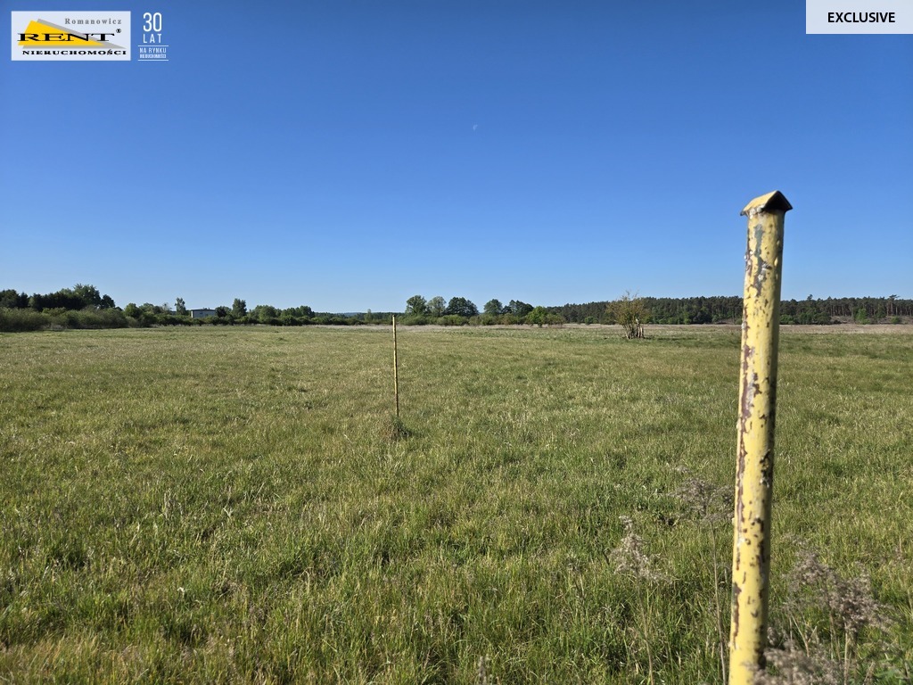 Dziełka inwestycyjna Wielgowo (3)