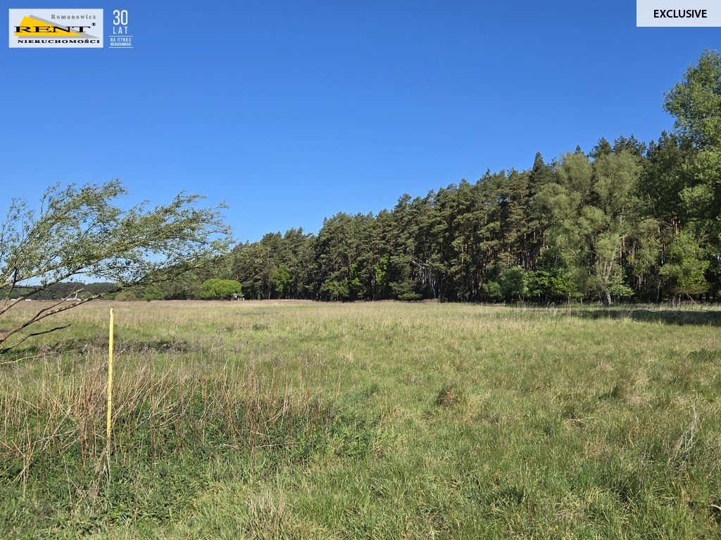 Dziełka inwestycyjna Wielgowo (1)