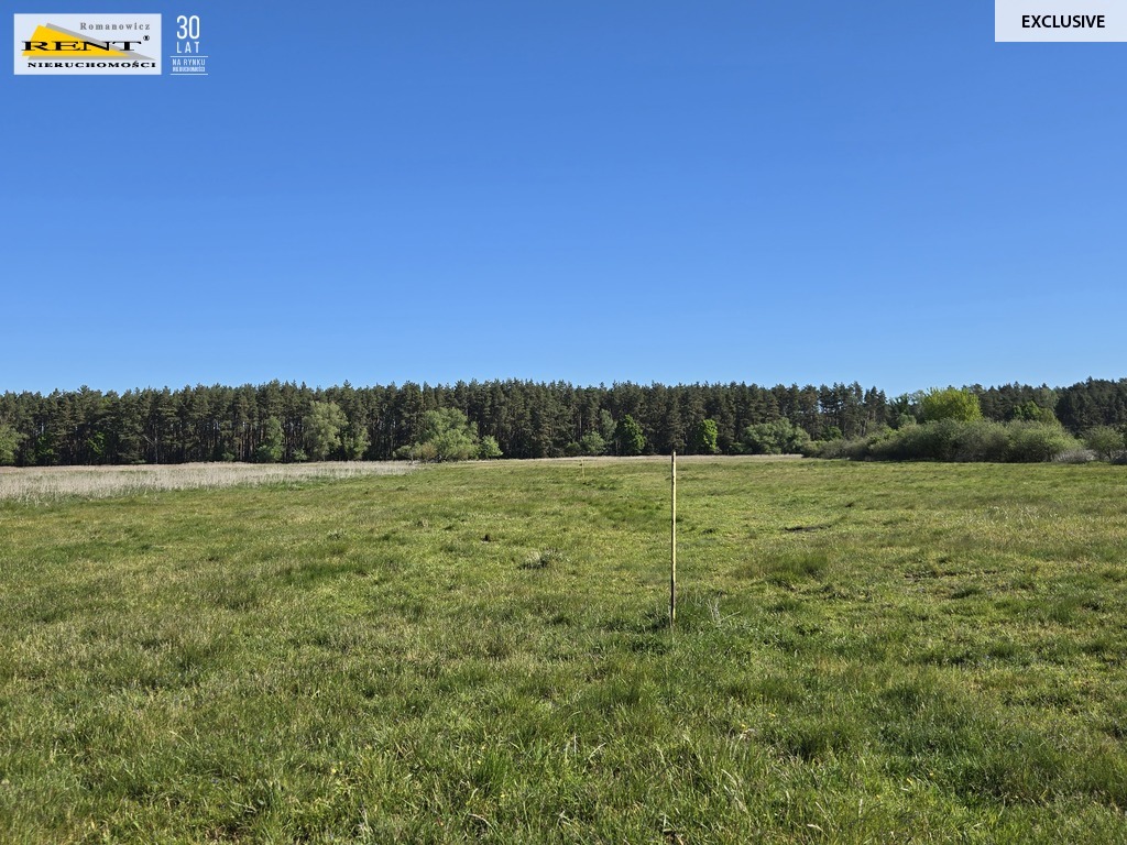 Dziełka inwestycyjna Wielgowo (4)