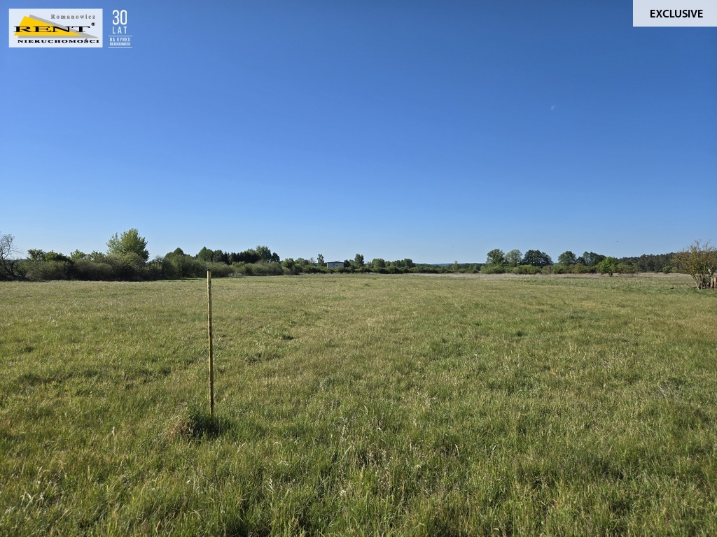 Dziełka inwestycyjna Wielgowo (5)