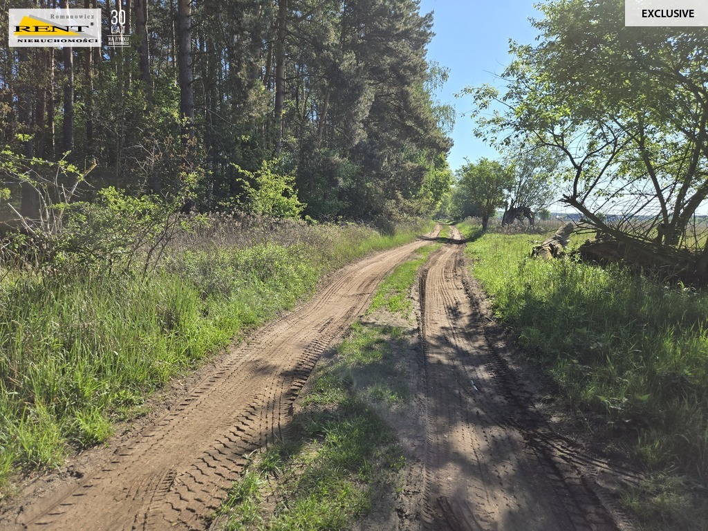 Dziełka inwestycyjna Wielgowo (6)