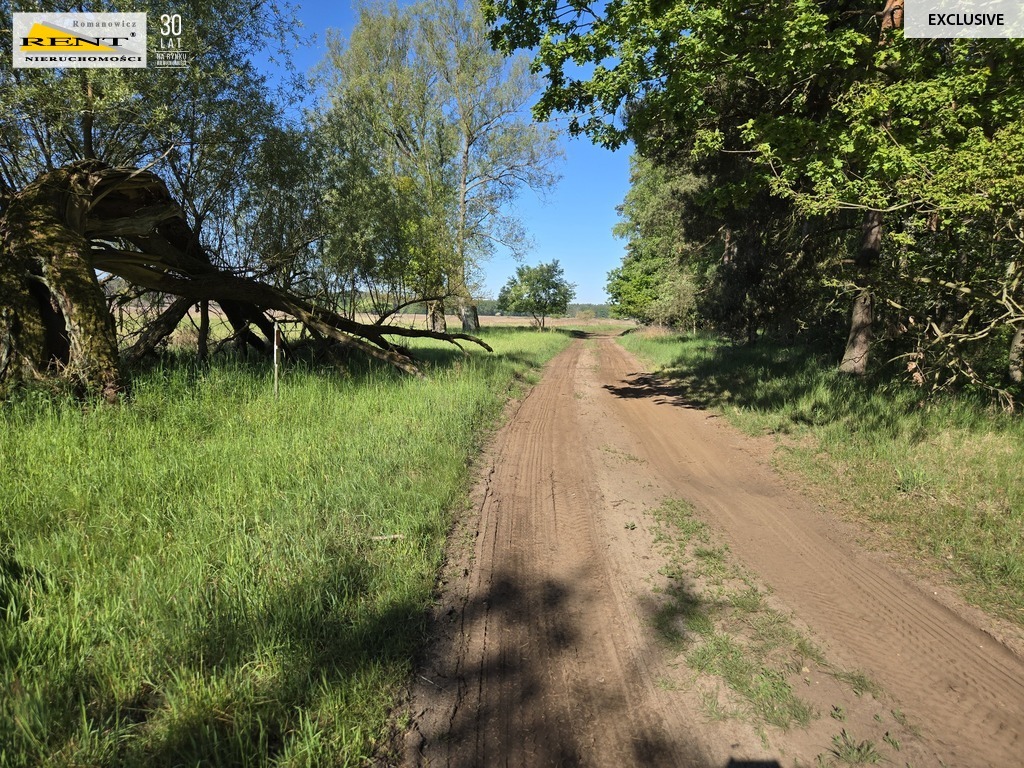 Dziełka inwestycyjna Wielgowo (7)