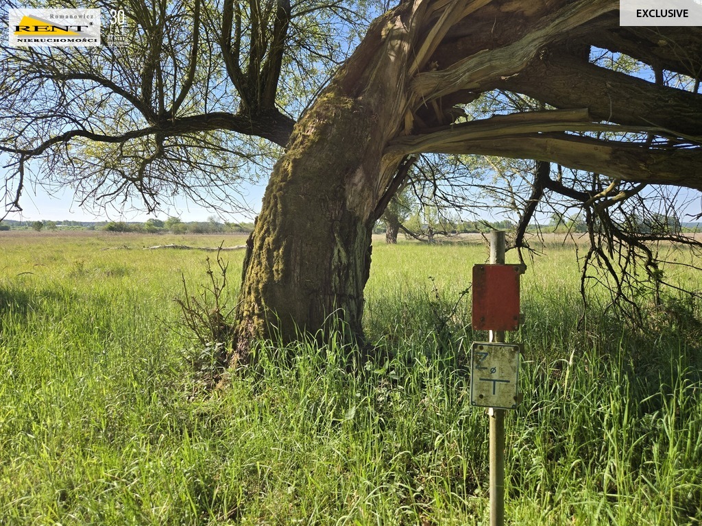 Dziełka inwestycyjna Wielgowo (8)